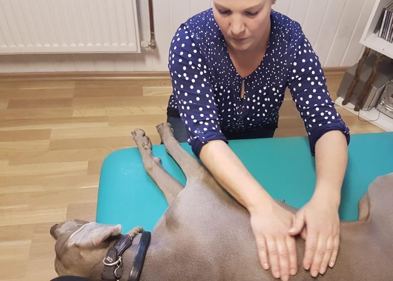 Ganzkörpermassage